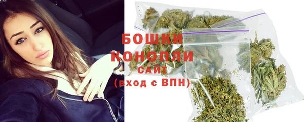 спиды Новозыбков