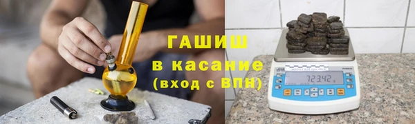 индика Новокубанск