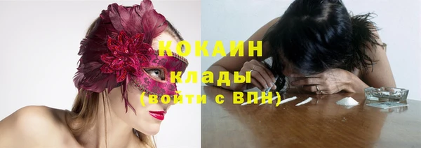 спиды Новозыбков