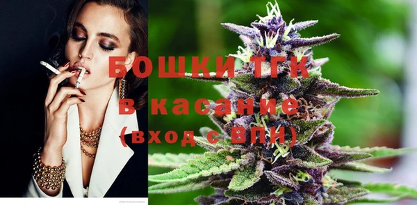 индика Новокубанск