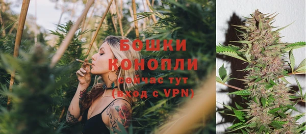 спиды Новозыбков