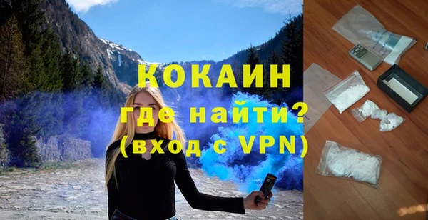 индика Новокубанск