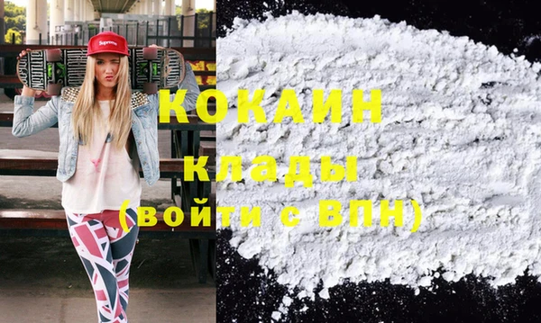 индика Новокубанск