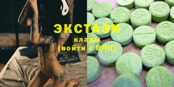 индика Новокубанск