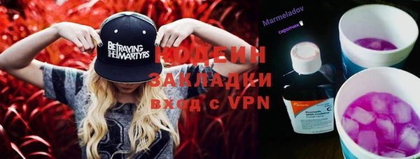 индика Новокубанск