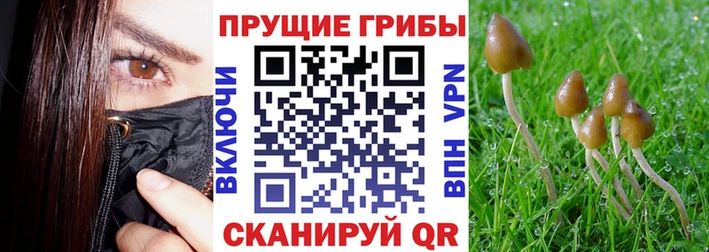 Галлюциногенные грибы Magic Shrooms  Купить где  Остров 